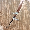 Kolczyki ażurowe skrzydełka srebro 925